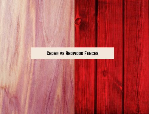 Cedar vs Redwood Fences