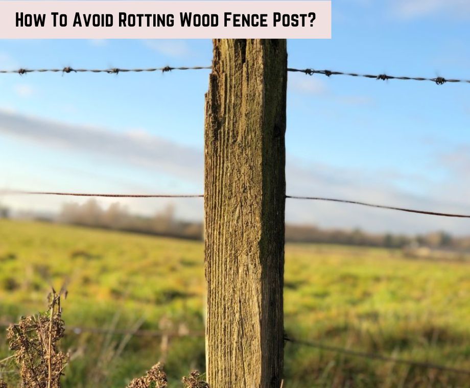 How To Avoid Rotting Wood Fence Post