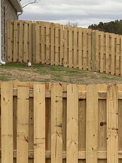 fence panels between wooden posts