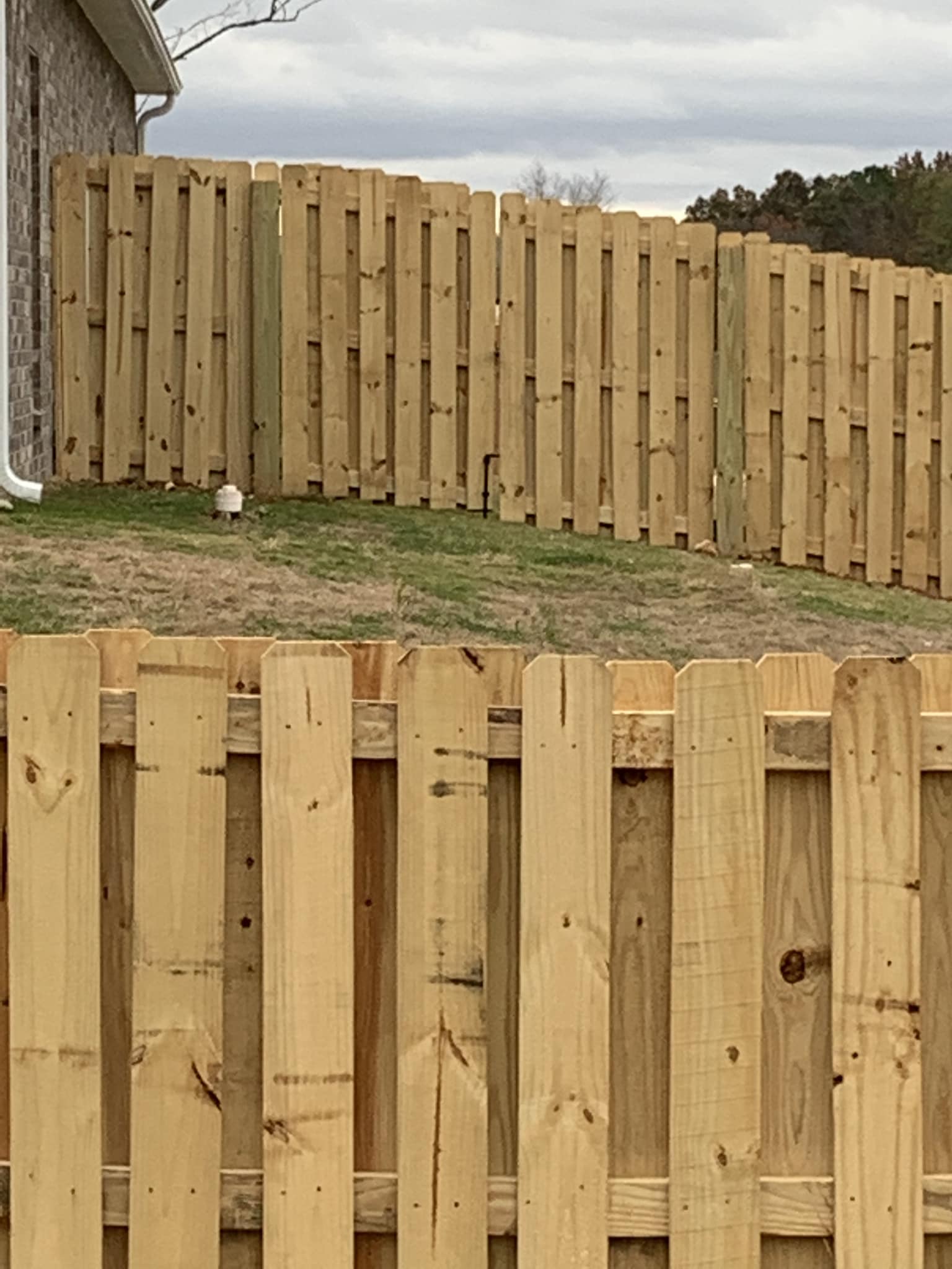 fence panels between wooden posts