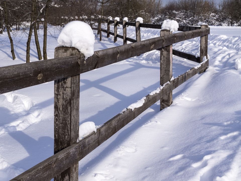 fence in winter