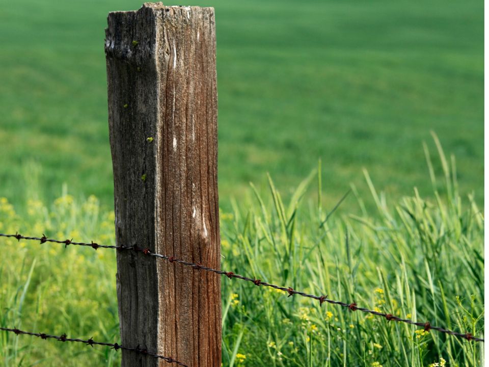 wooden fence post