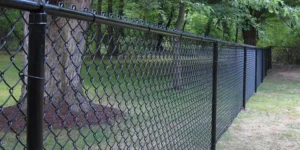 vinyl coated chain link fence